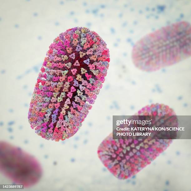 mokola virus, illustration - sub saharan africa stock illustrations