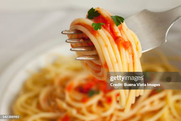 spaghetti with tomato sauce - espaguete fotografías e imágenes de stock