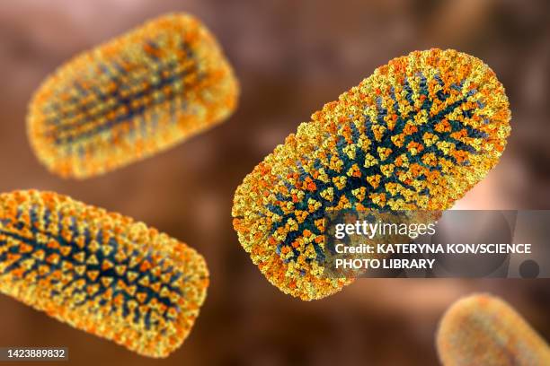 mokola virus, illustration - sub saharan africa stock illustrations