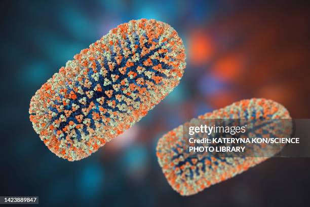 mokola virus, illustration - sub saharan africa stock illustrations