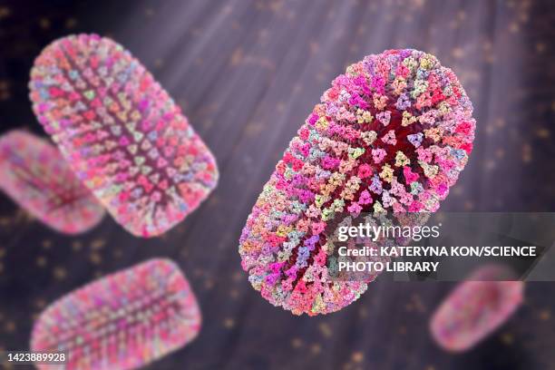 mokola virus, illustration - sub saharan africa stock illustrations