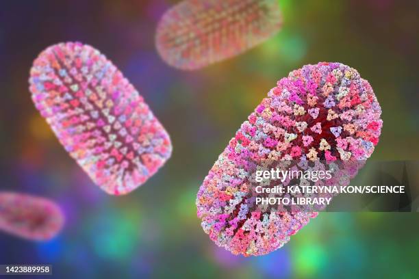 mokola virus, illustration - sub saharan africa stock illustrations