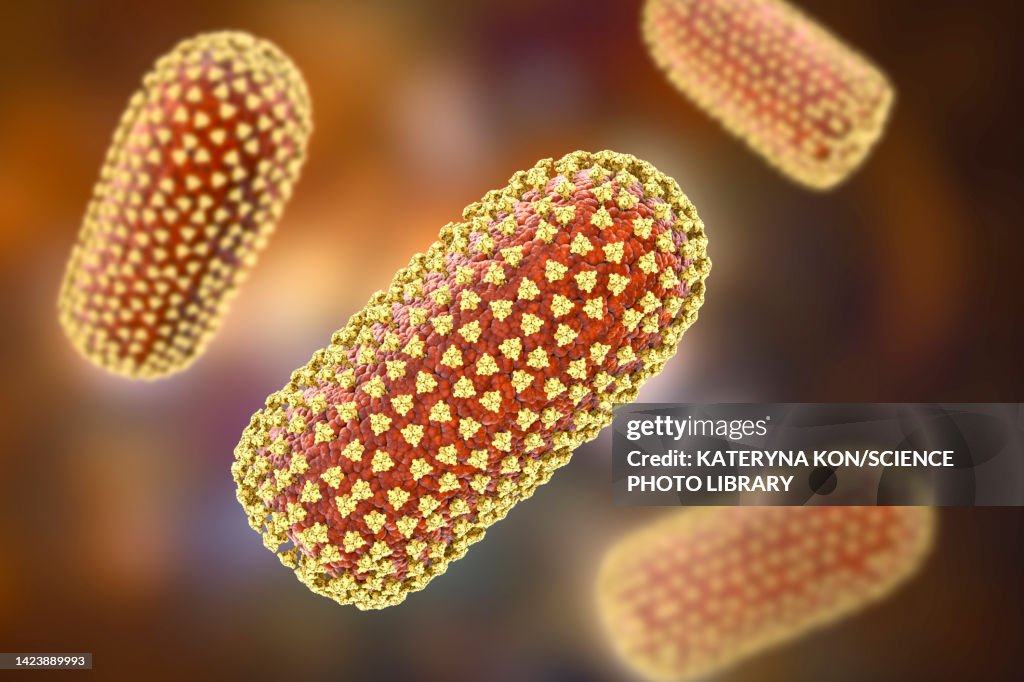 Fever From Rabies Rabies Viruses Illustration High-Res Vector Graphic - Getty Images