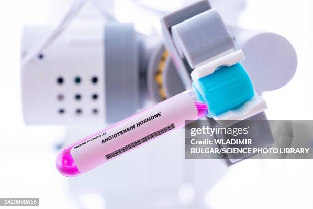 angiotensin hormone, conceptual image - angiotensin stock pictures, royalty-free photos & images