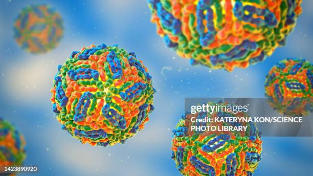 west nile virus particles, illustration - west nile virus stock illustrations