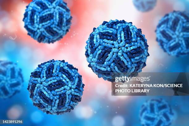 bildbanksillustrationer, clip art samt tecknat material och ikoner med west nile virus particles, illustration - west nile virus