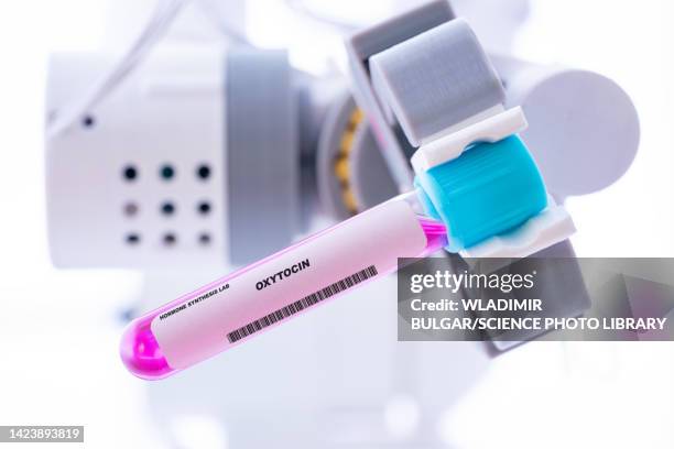 oxytocin hormone, conceptual image - oxytocin stock pictures, royalty-free photos & images