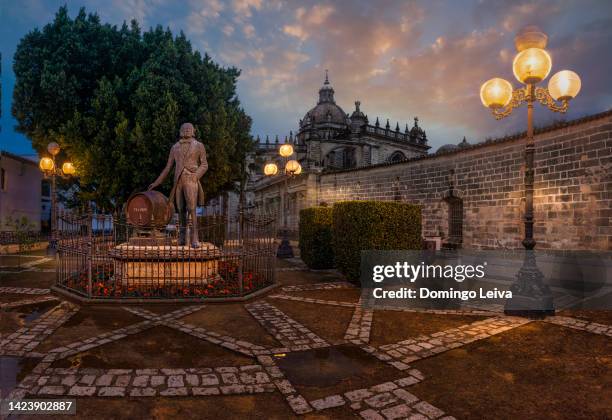 jerez de la frontera, cadiz province, andalusia, spain - jerez de la frontera stock-fotos und bilder