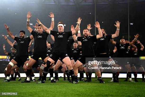 The All Blacks perform the haka during The Rugby Championship & Bledisloe Cup match between the Australia Wallabies and the New Zealand All Blacks at...