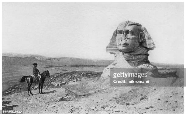 old engraved illustration of napoleon and the sphinx - giza pyramids stock pictures, royalty-free photos & images