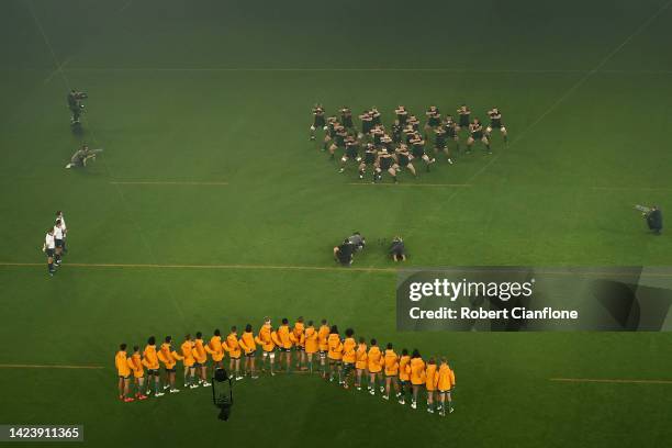 Spidercam is seen as the All Blacks perform the Haka during The Rugby Championship & Bledisloe Cup match between the Australia Wallabies and the New...