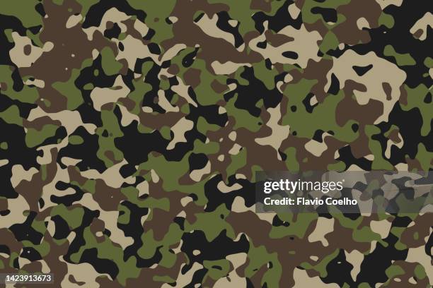 camouflage pattern background - disfarce - fotografias e filmes do acervo