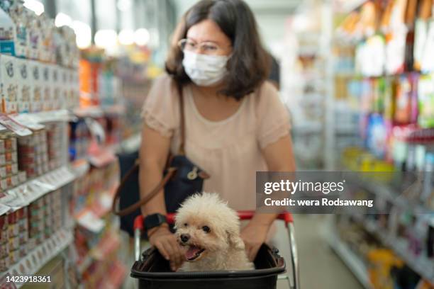 woman shopping in the pet shop with dog - pet equipment stock pictures, royalty-free photos & images