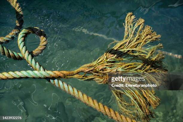 untied  rope floating on water on a sunny day. - emreturanphoto stock pictures, royalty-free photos & images