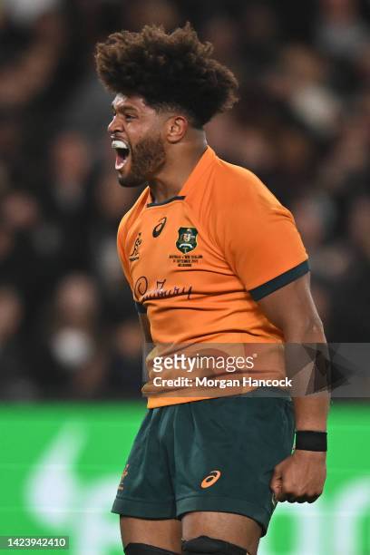 Rob Valetini of the Wallabies celebrates during The Rugby Championship & Bledisloe Cup match between the Australia Wallabies and the New Zealand All...
