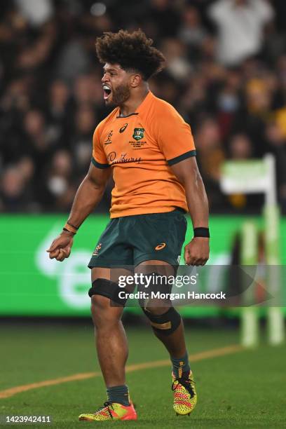 Rob Valetini of the Wallabies celebrates during The Rugby Championship & Bledisloe Cup match between the Australia Wallabies and the New Zealand All...