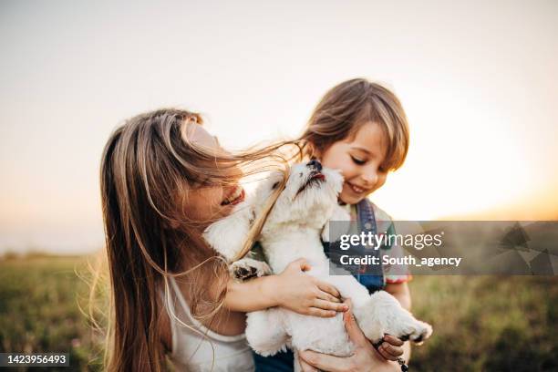 madre e figlia giocano con il cane nel parco - candy cane foto e immagini stock