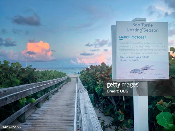 Warning sign about Sea Turtle Nesting Season on beach, Singer Island, Florida.