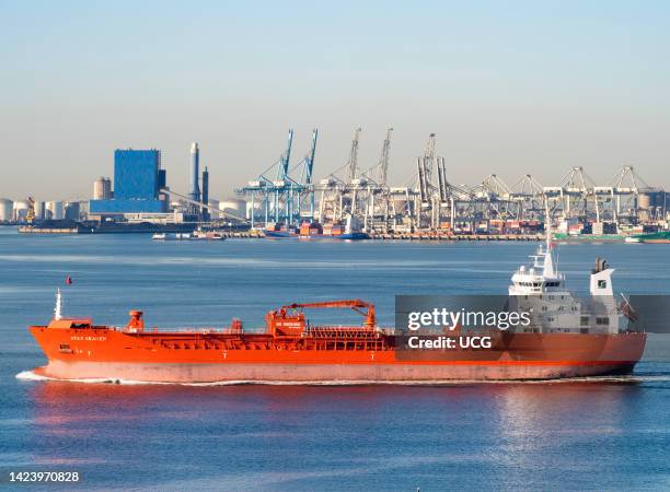 Cargo ships and tankers in the Maas Estuary, heading towards Rotterdam, the Netherlands.