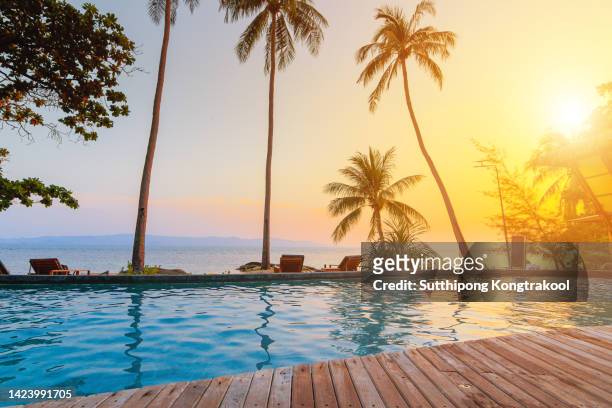 outdoor tourism landscape. luxurious beach resort with swimming pool and beach chairs or loungers under umbrellas with palm trees and blue sky. summer travel and vacation background concept - standing water ストックフォトと画像