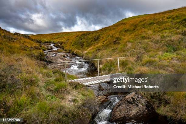 mountain stream  on plynlimon (pumlumon) in the cambrian mountains, mid wales - monti cambriani foto e immagini stock