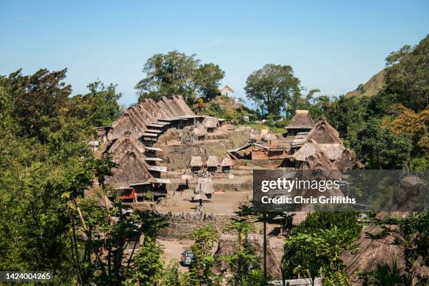 Neolithic Inner Asia Neolithic House Photos and Premium High Res Pictures - Getty Images