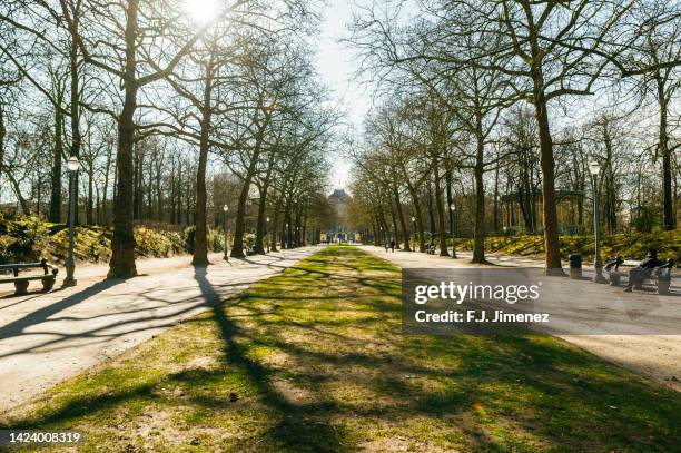 landscape with park and royal palace of brussels in the background at sunny day - laeken stock-fotos und bilder