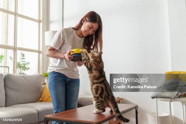 junge schöne asiatische frau, die ihre katze zu hause füttert. - katzenfutter stock-fotos und bilder