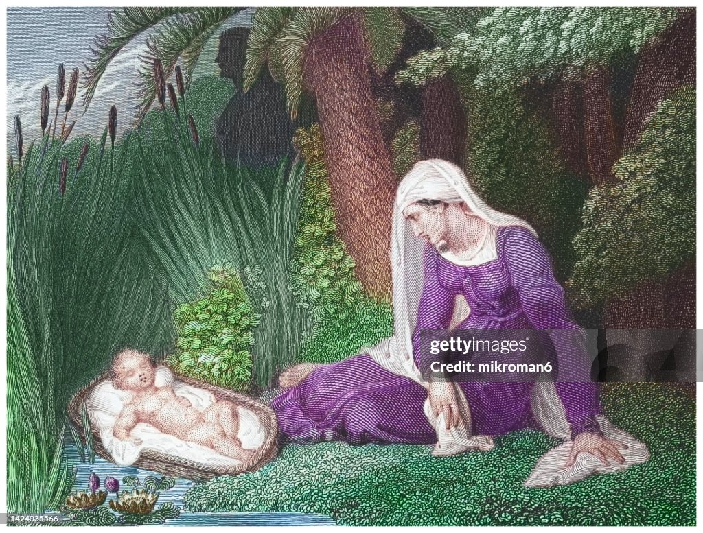 Old engraved illustration of Moses in the bulrushes