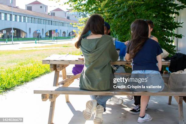 rear view of group of students sitting at table outdoors on campus - picnic rug stockfoto's en -beelden