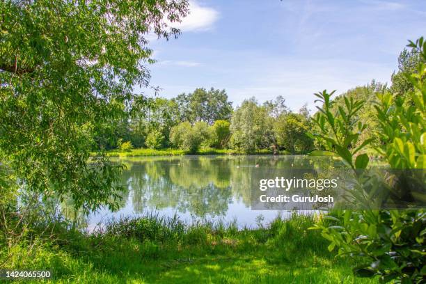 cotswold water park, south cerney, cotswolds, gloucestershire, england - cotswolds stock pictures, royalty-free photos & images