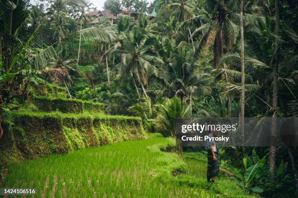 ein junger mann steht auf einer schönen reisterrasse in ubud, bali, indonesien - reisterrasse stock-fotos und bilder