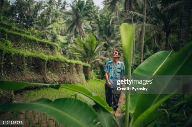 a young man walks through a beautiful rice terrace in ubud, bali, indonesia - ubud rice fields stock pictures, royalty-free photos & images