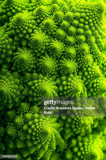 romanesco cauliflower - chou romanesco stock pictures, royalty-free photos & images