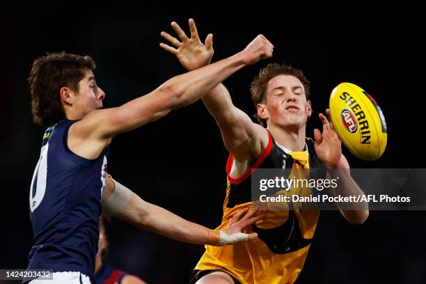 Harrison Jones of the Stingrays and Angus McLennan of the Dragons contest the ball during the NAB League Grand Final match between the Sandringham...