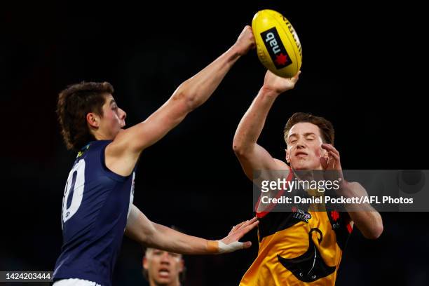 Harrison Jones of the Stingrays and Angus McLennan of the Dragons contest the ball during the NAB League Grand Final match between the Sandringham...