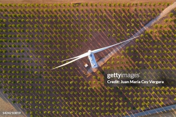 aerial top view of a wind turbine over an almond field (agricultural field) at sunset, renewable energy, wind energy, cuenca, spain - aspas fotografías e imágenes de stock