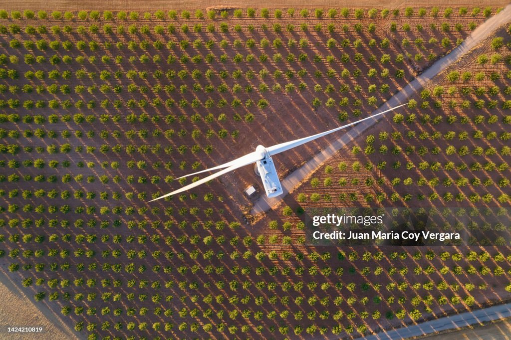 Aerial top view of a wind turbine over an almond field (agricultural field) at sunset, Renewable Energy, Wind Energy, Cuenca, Spain