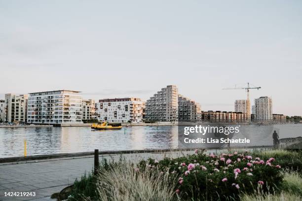 modern neighborhood in the port of copenhagen - copenhagen harbour stock pictures, royalty-free photos & images