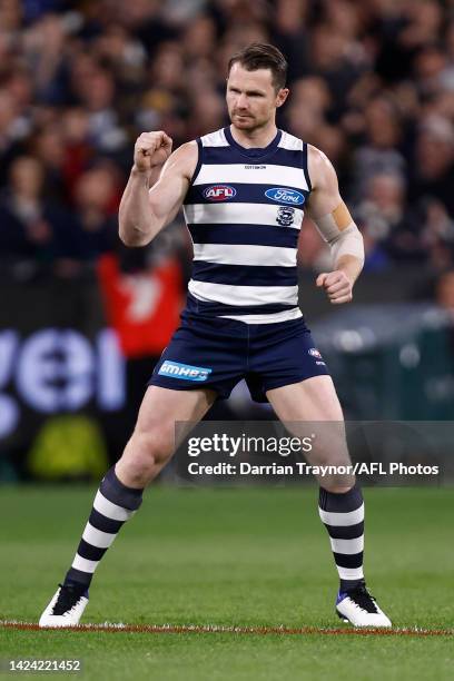 Patrick Dangerfield of the Cats celebrates a goal during the AFL First Preliminary match between the Geelong Cats and the Brisbane Lions at Melbourne...