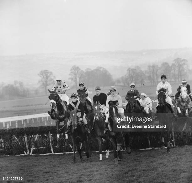 Original Cheltenham Racing Cheltenham Park Racecourse Photos and Premium High Res Pictures - Getty ...