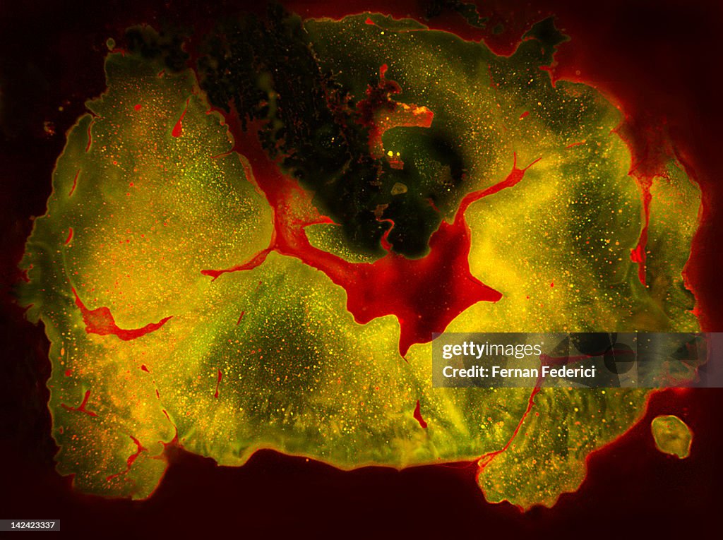 Microscopy abstract