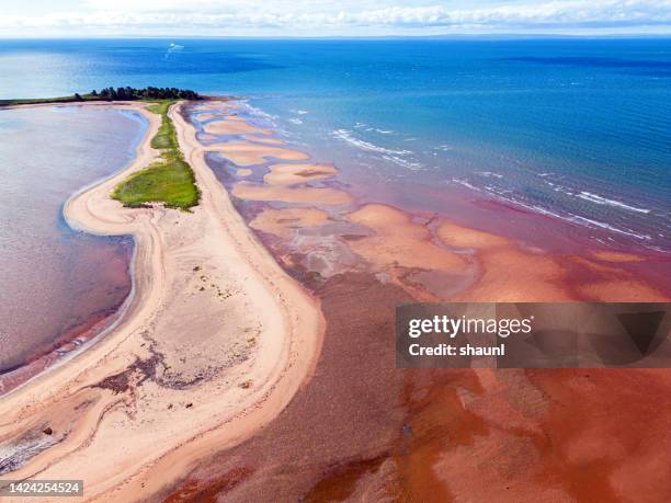 prince edward island coast - prince edward island stock pictures, royalty-free photos & images