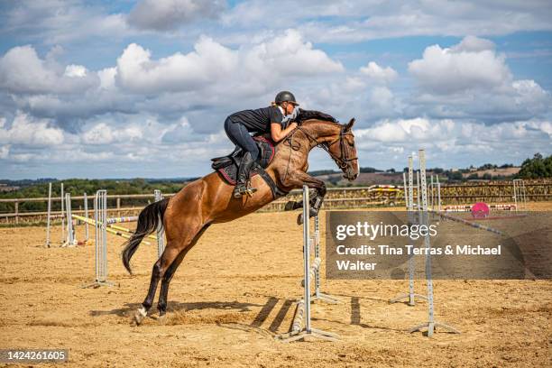 horse with female rider jumping obstacle. - hindernisrace paardenrennen stockfoto's en -beelden