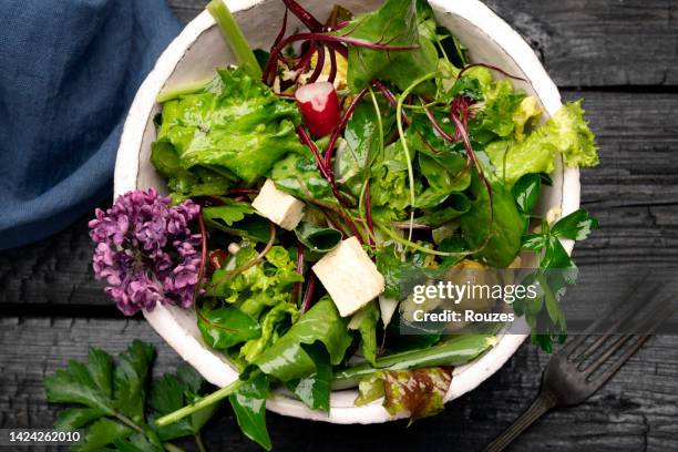 leaf vegetable salad with gout chees - gout stockfoto's en -beelden