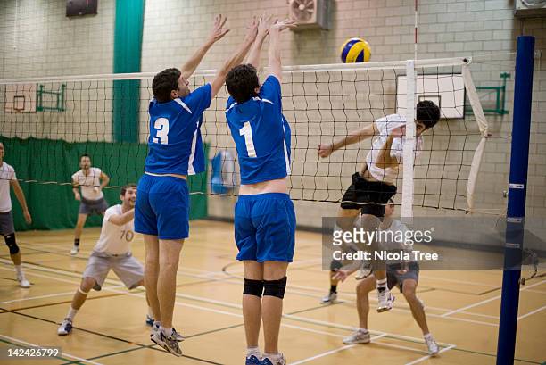 one team scoring a point in a game of volleyball. - volleyball stock-fotos und bilder