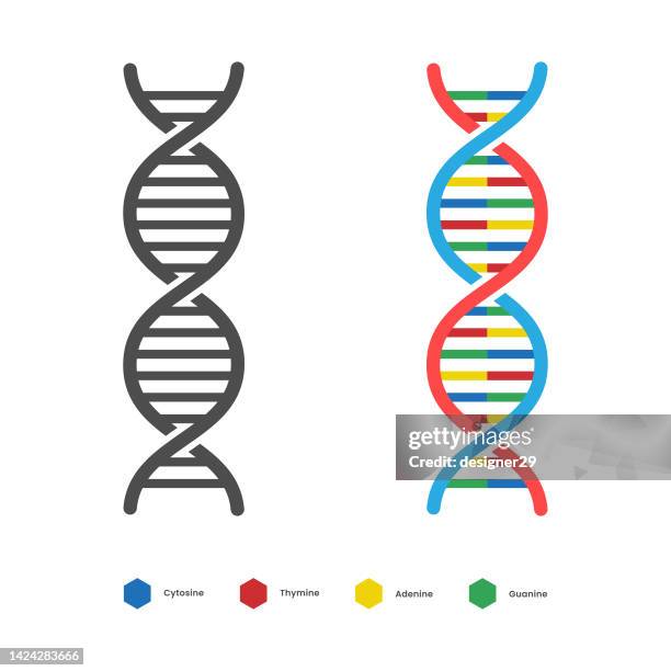 dna-symbol. desoxyribo nukleinsäure-vektor-design. - dna molecule stock-grafiken, -clipart, -cartoons und -symbole