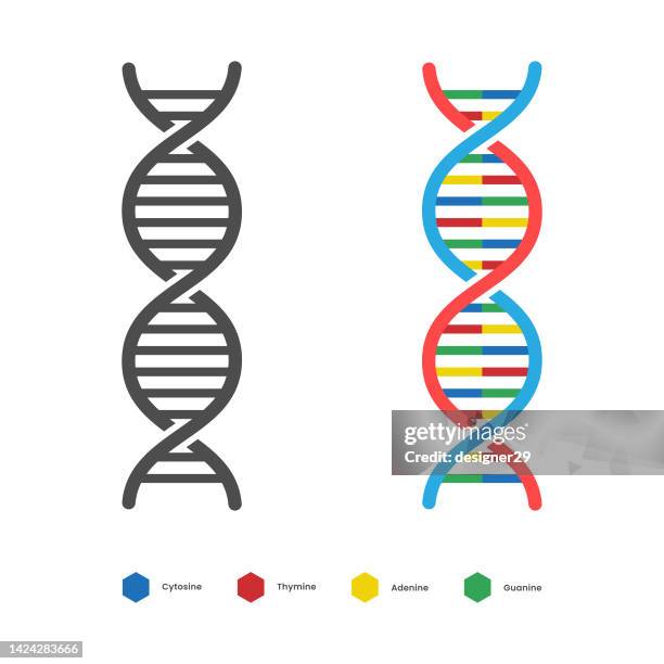 ilustraciones, imágenes clip art, dibujos animados e iconos de stock de icono de adn. diseño de vectores de ácido nucleico desoxirribo. - modelo de hélice