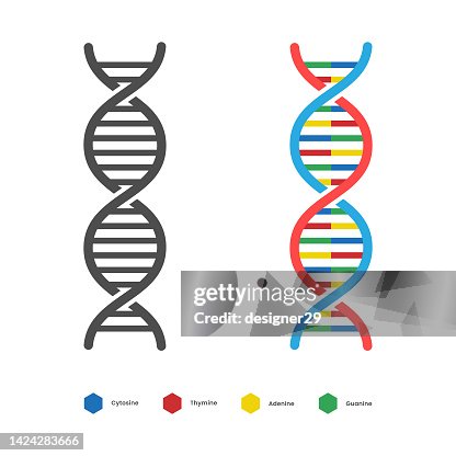 DNA Icon. Deoxyribo Nucleic Acid Vector Design. DNA Icon. Deoxyribo Nucleic Acid Vector Design.