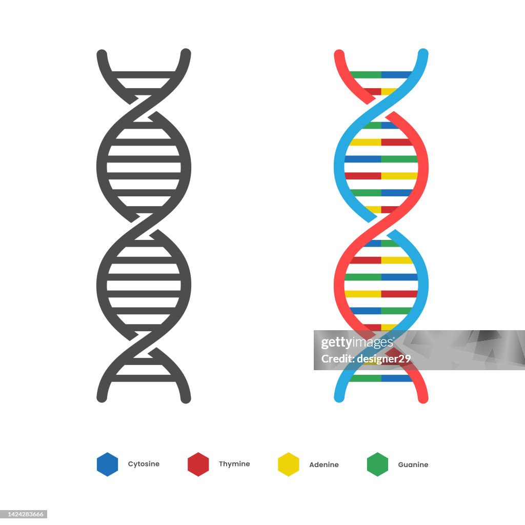 DNA Icon. Deoxyribo Nucleic Acid Vector Design.